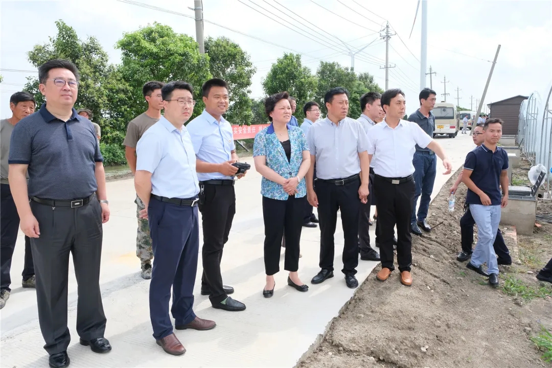 ���˴�ҕ�조�ĺ���·���l(xi��ng)�����d�C��ԇ�(y��n)�^(q��)���O(sh��)��r