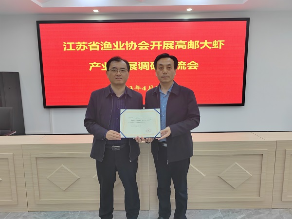 02 - ����.jpg