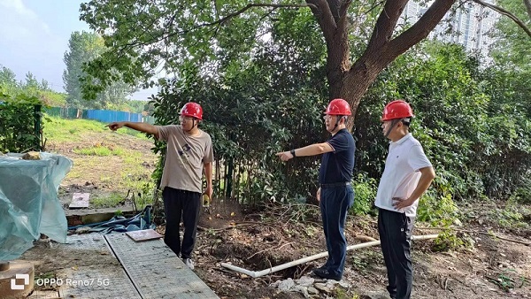 01 - ����.jpg