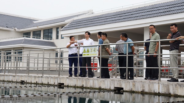 IMG_1488 - ����.JPG