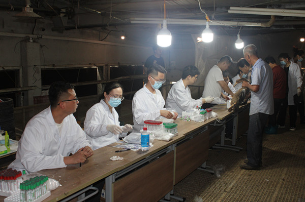 ���]�����F(tu��n)�_չ&ldquo;���]����(y��u)����(g��)�w���a(ch��n)���ܜy(c��)��&rdquo;���� (1)_����.jpg