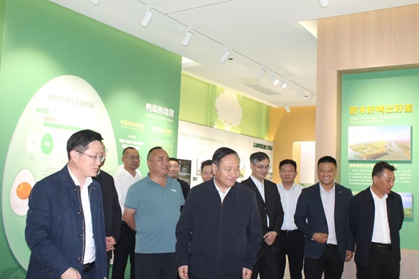 2 - ����.jpg